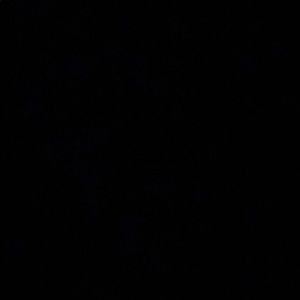 Meet your Posher, Devin